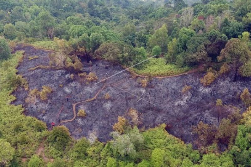 KEBAKARAN HUTAN DI PADANG