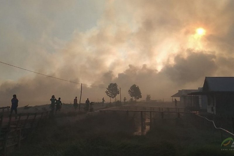 ACT-BMKG berkolaborasi pantau pencemaran asap akibat karhutla