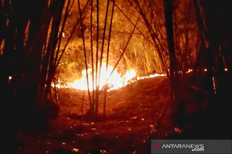 Gunung Lagadar Kabupaten Bandung kebakaran