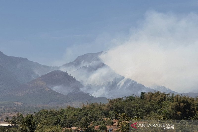 Kawasan hutan dan lahan di pegunungan Malabar Bandung terbakar