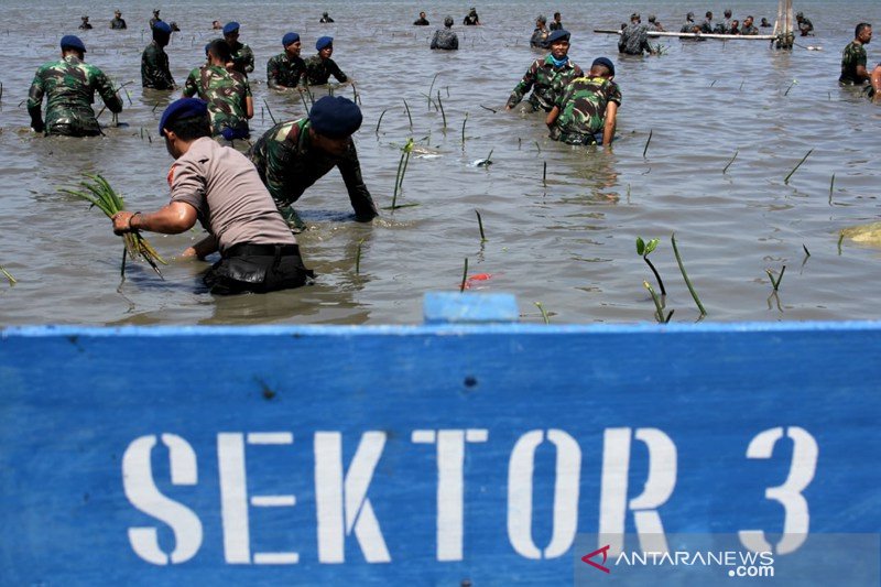 Penanaman Mangrove HUT TNI