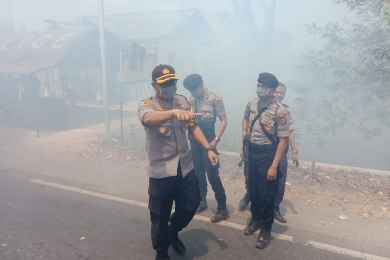 Kebakaran hutan gambut di Mesuji