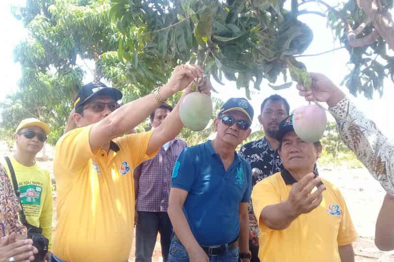 Indramayu resmikan Agro Wisata Situ Bolang di Jatisura