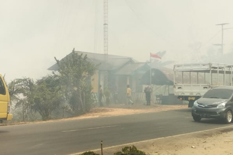 Kabut asap akibat karhutla landa wilayah Mesuji