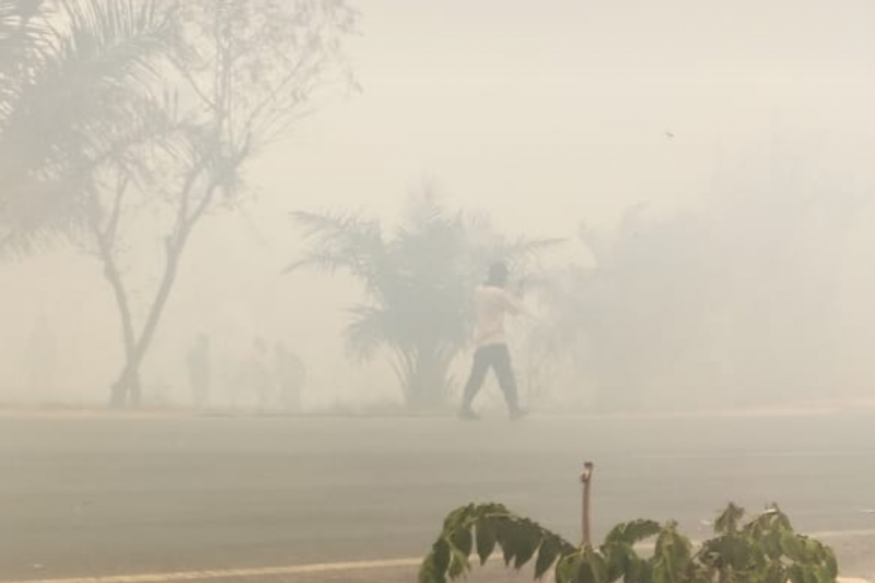 Kabut asap akibat karhutla landa wilayah Mesuji