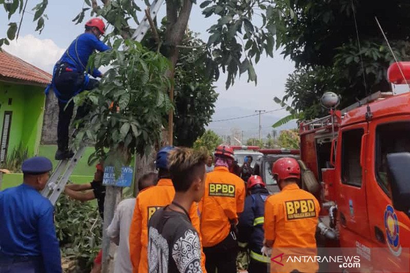 Seorang warga Garut tewas tersengat listrik di pohon