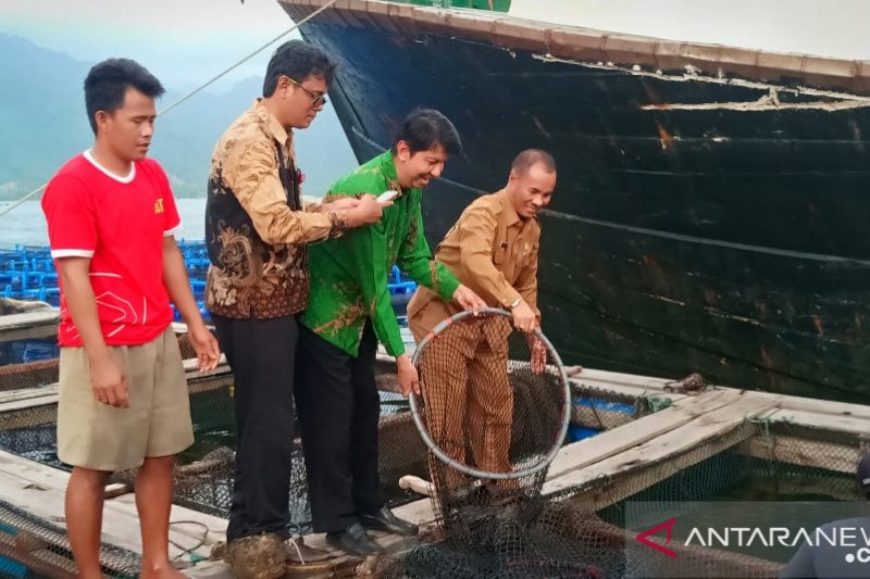 Sumbar ekspor 36,3 ton ikan kerapu ke Hong Kong