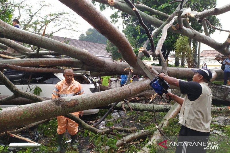 Hujan deras disertai angin kencang tumbangkan pepohonan di Cianjur
