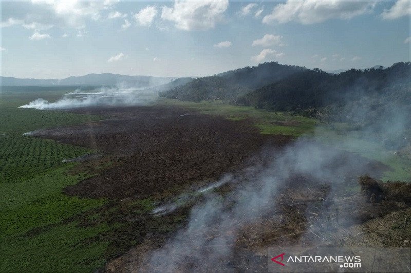 KEBAKARAN LAHAN GAMBUT DI KOLAKA TIMUR