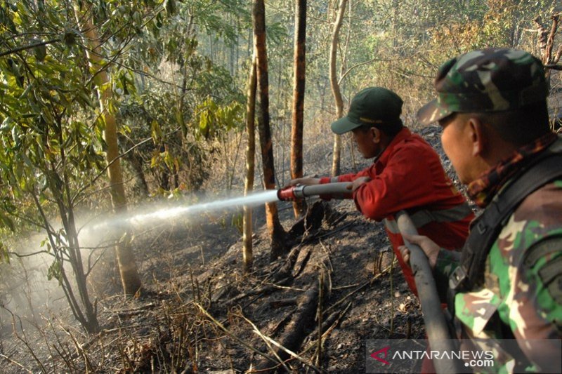 Kebakaran hutan pinus Gowa