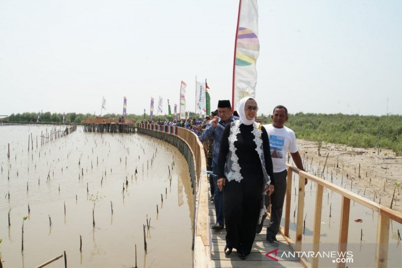 Pesisir di Karawang yang tergerus abrasi sedang 