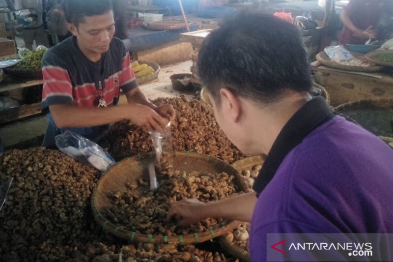 Harga jahe melambung hingga Rp50.000/kg