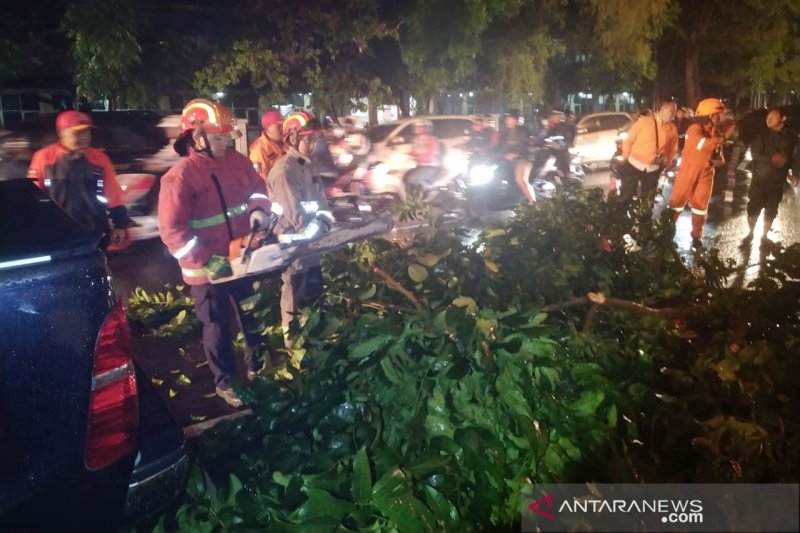 Hujan lebat di Bandung akibatkan pohon tumbang timpa mobil