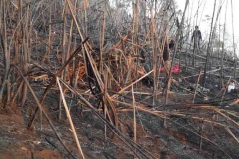 Kebakaran kawasan Gunung Ciremai sudah dipadamkan