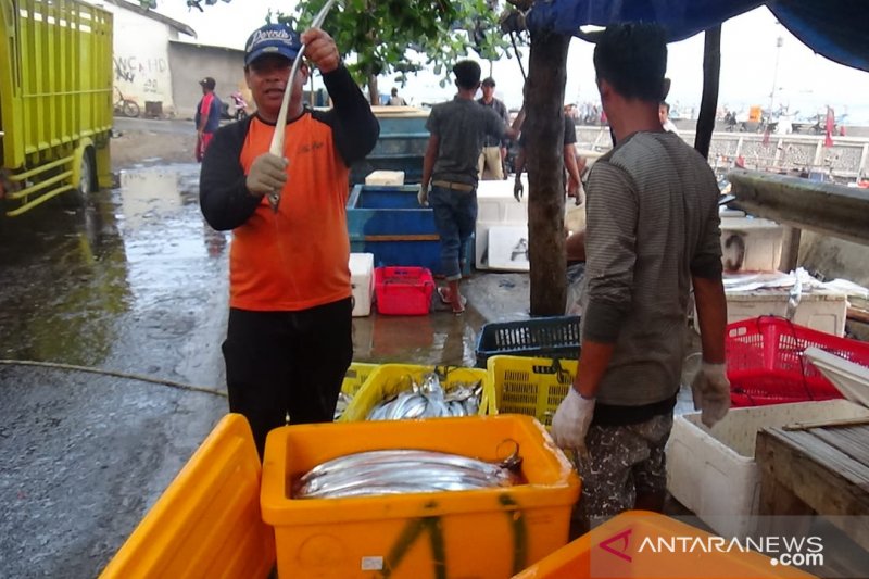 Nelayan Cianjur keluhkan harga ikan merosot tajam