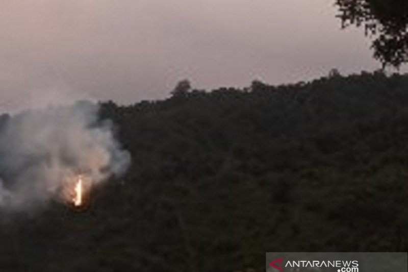 Hutan lindung Gunung Salak Sukabumi sekitar tiga hektare terbakar