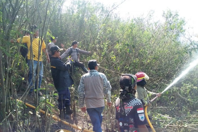 Hutan di Nyalindung Sukabumi terbakar seluas delapan hektare