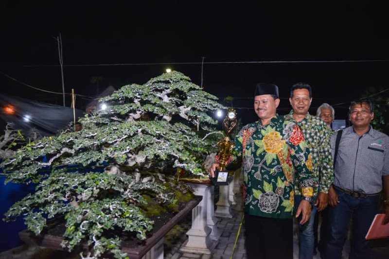 Madiun gelar Festival Bonsai 2019 peringati Hari Pahlawan