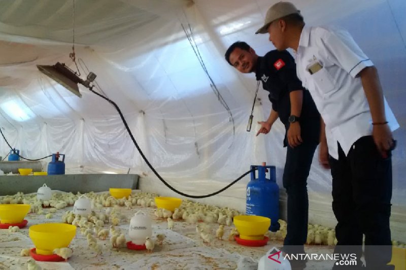 Pertamina sidak penggunaan gas subsidi ke peternakan ayam di Garut