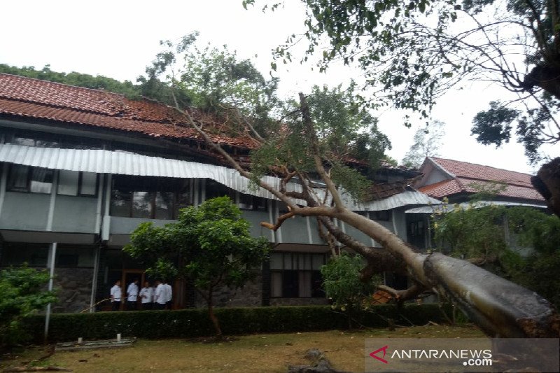 Pohon tua tumbang timpa kantor Wakil Bupati Garut