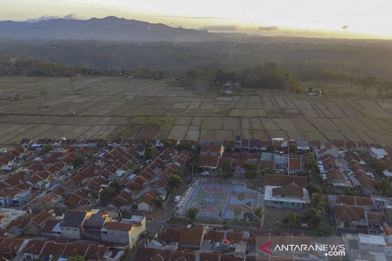 Alih Fungsi Lahan Pertanian