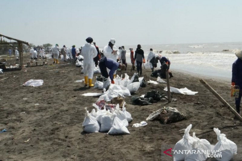 Perairan laut Karawang kembali tercemar limbah minyak mentah