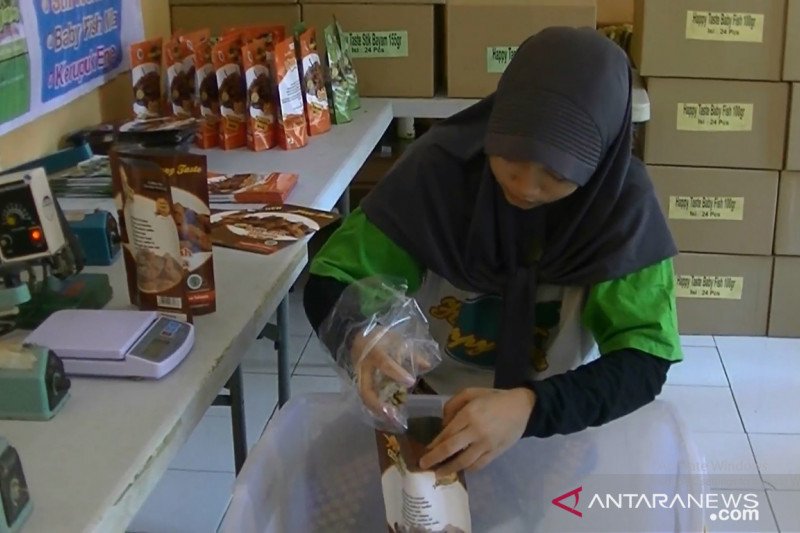 Kaum milenial di Sukabumi didorong manfaatkan peluang bisnis daerah