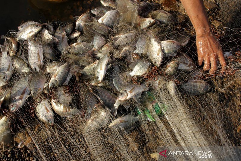 Menangkap ikan di waduk