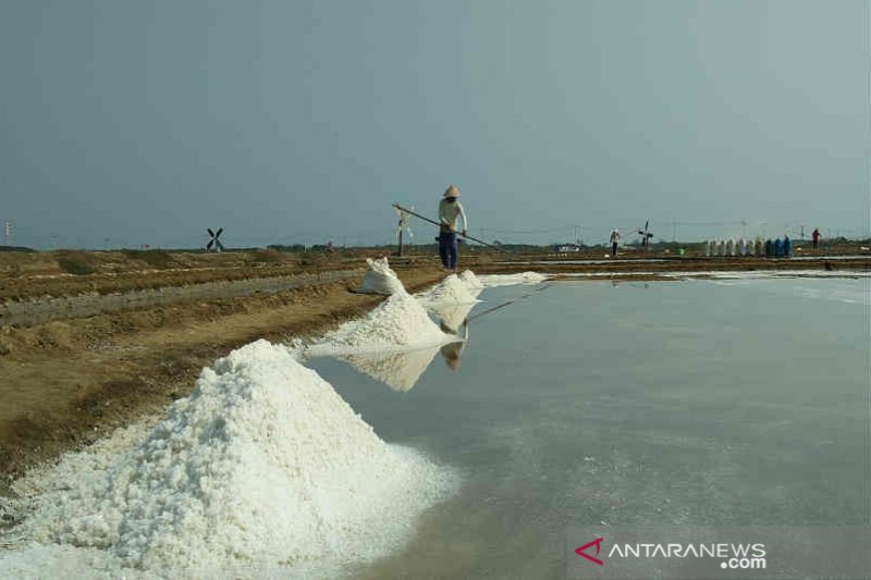 Sedih, garam rakyat petani Cirebon tak laku di jual di pasaran