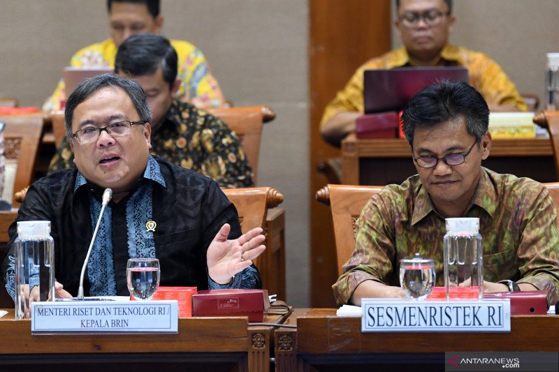 Kemenristek tengah uji klinis jahe merah, jambu biji dan minyak kelapa