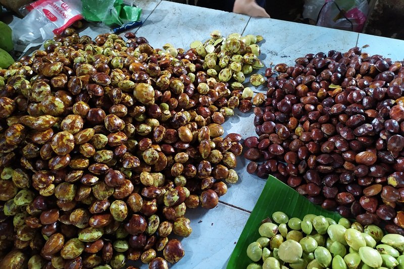mengapa-jengkol-punya-bau-yang-khas-ini-penjelasan-ilmiahnya