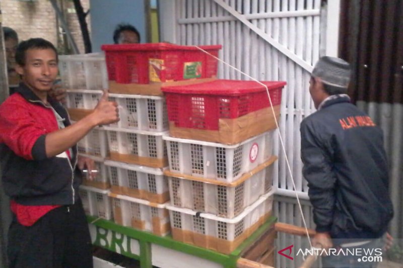 Peternak kelinci di Cianjur kewalahan penuhi permintaan
