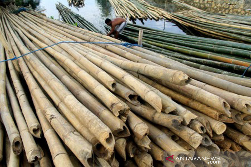 Kebutuhan bambu