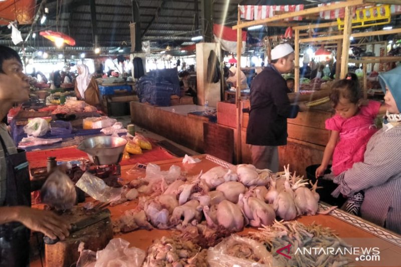 Harga ayam potong di pasar Cianjur berangsur normal