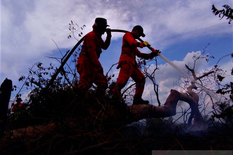 KARHUTLA GAMBUT MENDEKATI PEMUKIMAN WARGA DI KOLAKA TIMUR