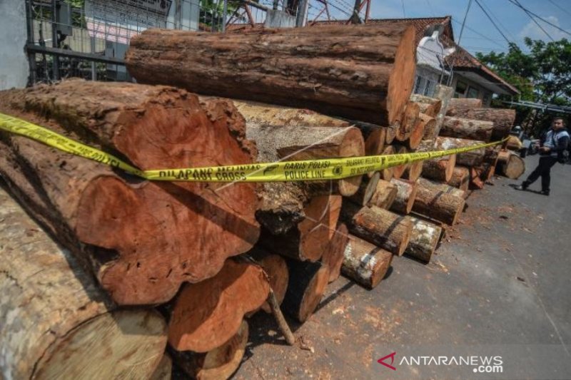 POLISI UNGKAP PEMBALAKAN LIAR