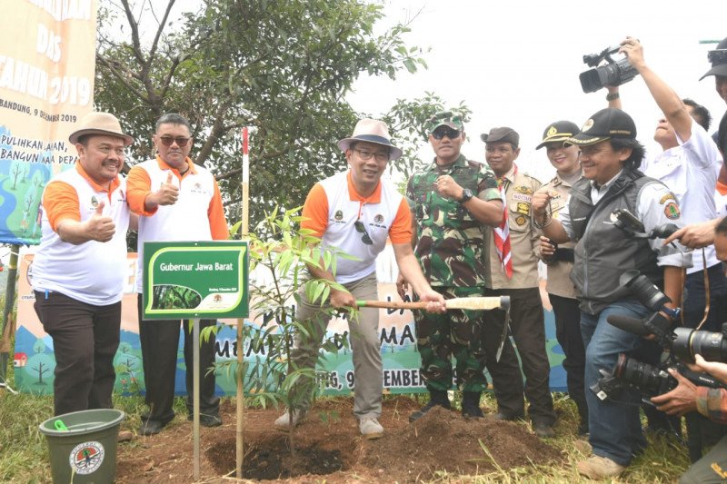 Pemulihan lahan kritis di DAS Citarum butuh 24 juta bibit pohon