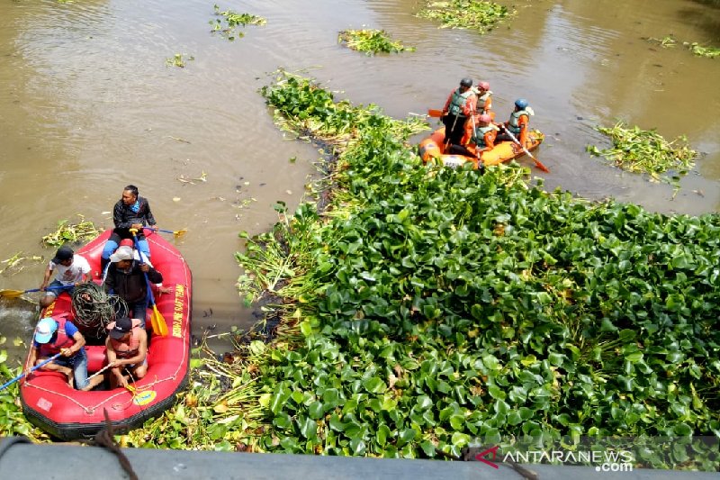 Pemkab Garut manfaatkan eceng gondok di Sungai Cimanuk untuk pakan ternak dan kerajinan