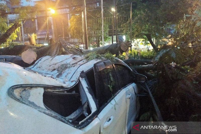 Hujan lebat di Bandung sebabkan pohon tumbang menimpa tiga mobil