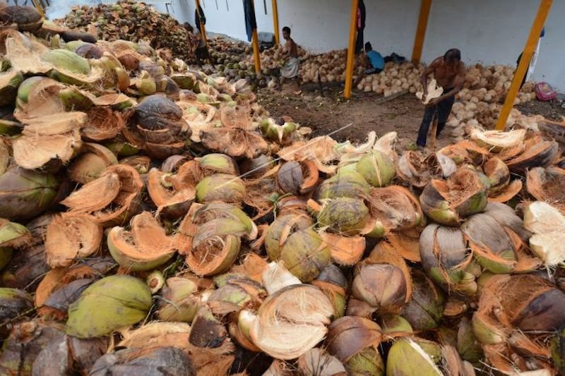 Ekspor kelapa Sumatera Selatan tetap terjaga