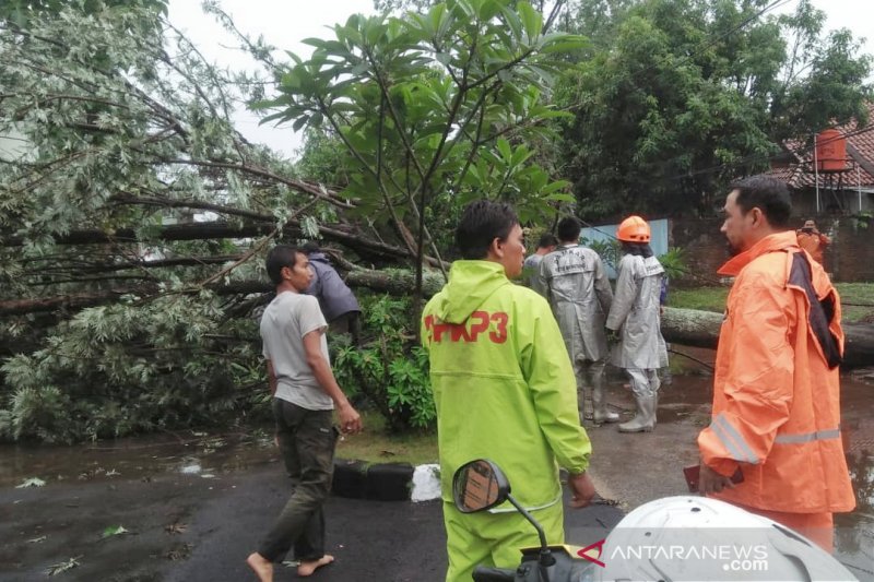 Hujan deras sebabkan banjir dan pohon tumbang di Bandung