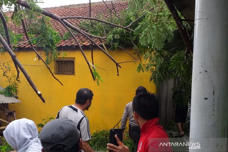 Empat rumah rusak tertimpa pohon tumbang di Garut