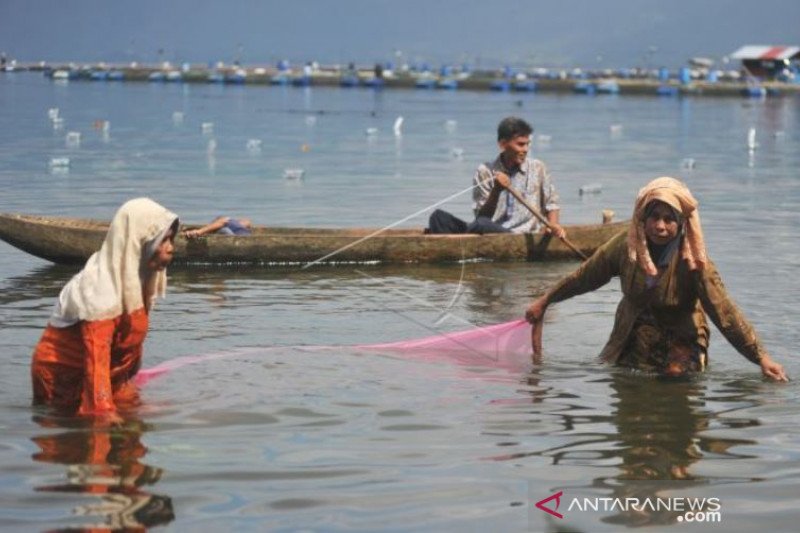 FESTIVAL RINUAK DANAU MANINJAU