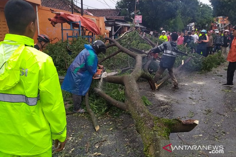 Ada pohon tumbang, jalan raya Sukabumi-Cianjur sempat terputus