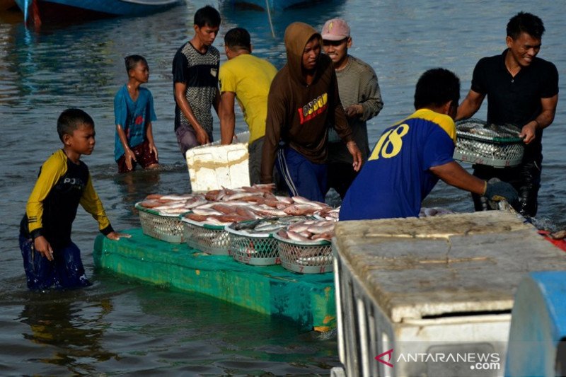 Harga ikan naik di Takalar