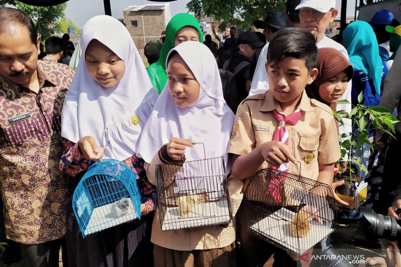 Sejumlah anak ayam pembagian dari Walikota Bandung mati dimakan tikus