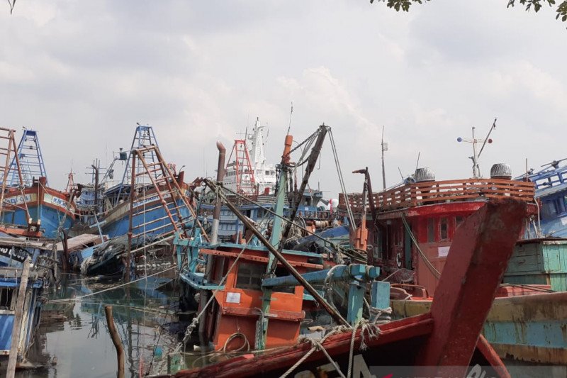 Takut di tabrak kapal Vietnam, Pendapatan nelayan Natuna berkurang 75 persen