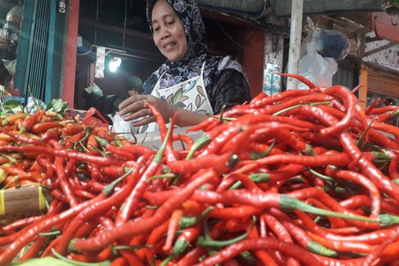 Harga cabai di Solok Selatan naik di awal tahun