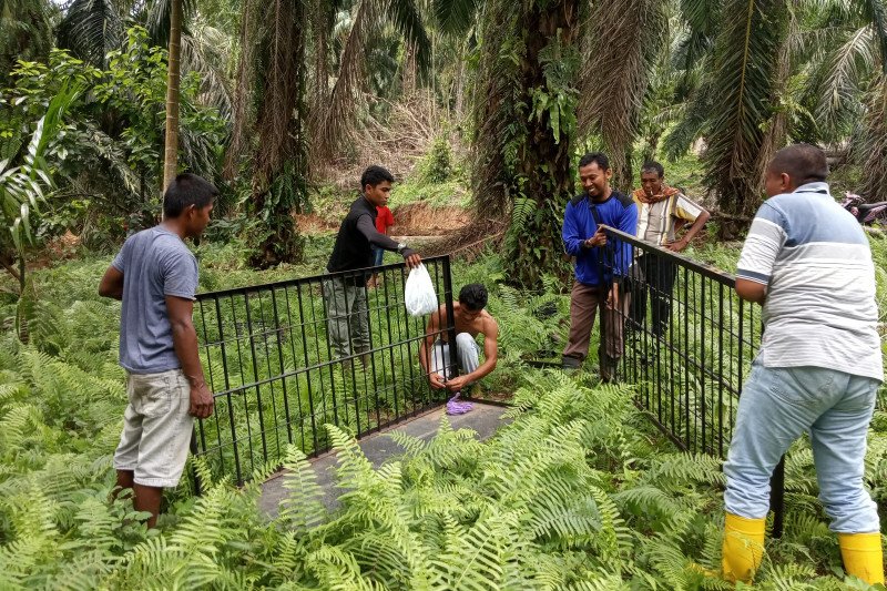 Selama 2019, terjadi 11 kejadian konflik manusia dengan satwa liar di Agam