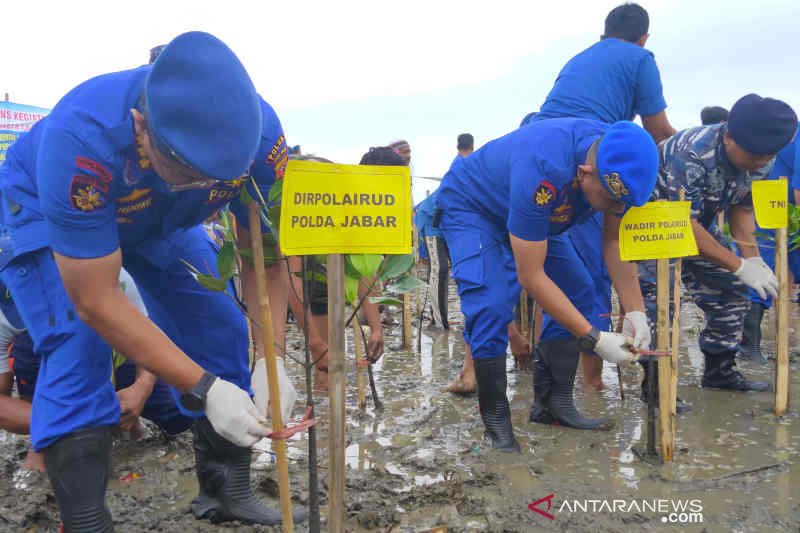 Ditpolairud Polda Jabar tanam mangrove di pesisir Cirebon cegah abrasi